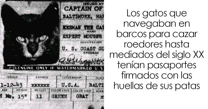 20 Reconfortantes fotos y memes para hacer de hoy un día mejor