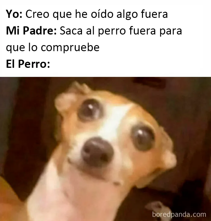 20 Memes bien condimentados para que sonrías hoy