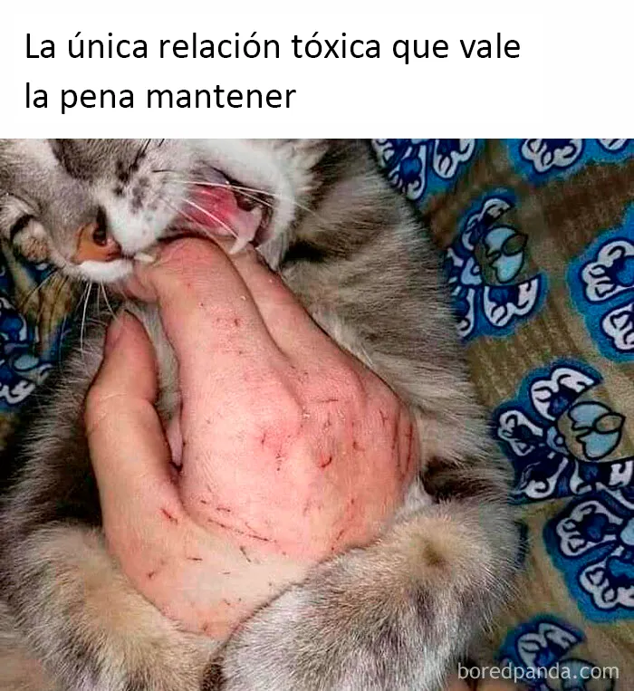 20 Memes bien condimentados para que sonrías hoy