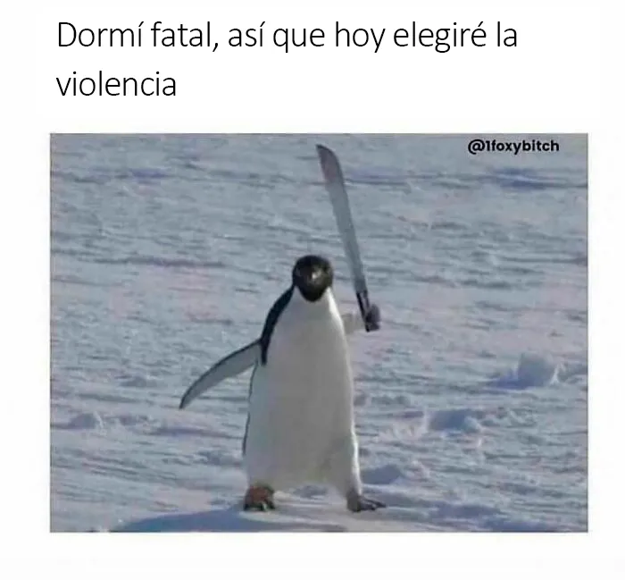 20 Memes bien condimentados para que sonrías hoy