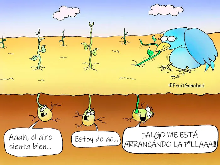 12 Nuevos cómics ligeramente inapropiados sobre fruta "echada a perder"