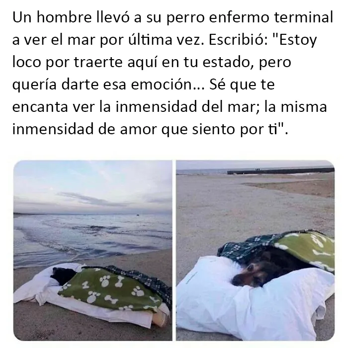 20 Reconfortantes fotos y memes para hacer de hoy un día mejor