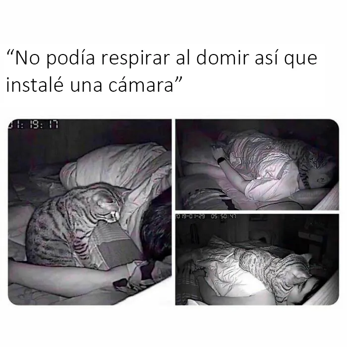 20 Reconfortantes fotos y memes para hacer de hoy un día mejor