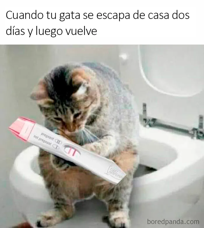 20 Memes bien condimentados para que sonrías hoy
