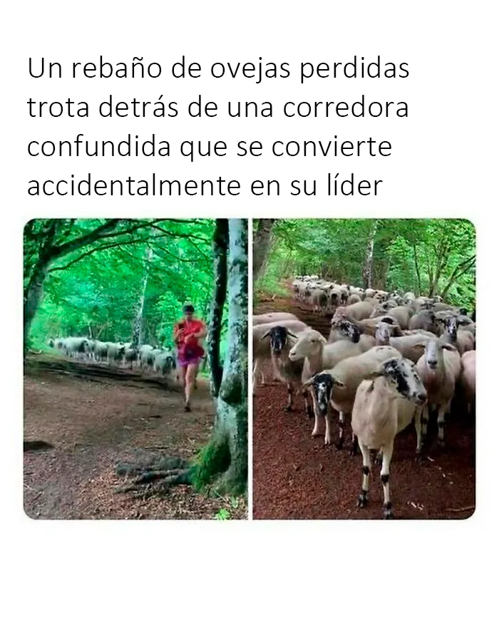 20 Reconfortantes fotos y memes para hacer de hoy un día mejor