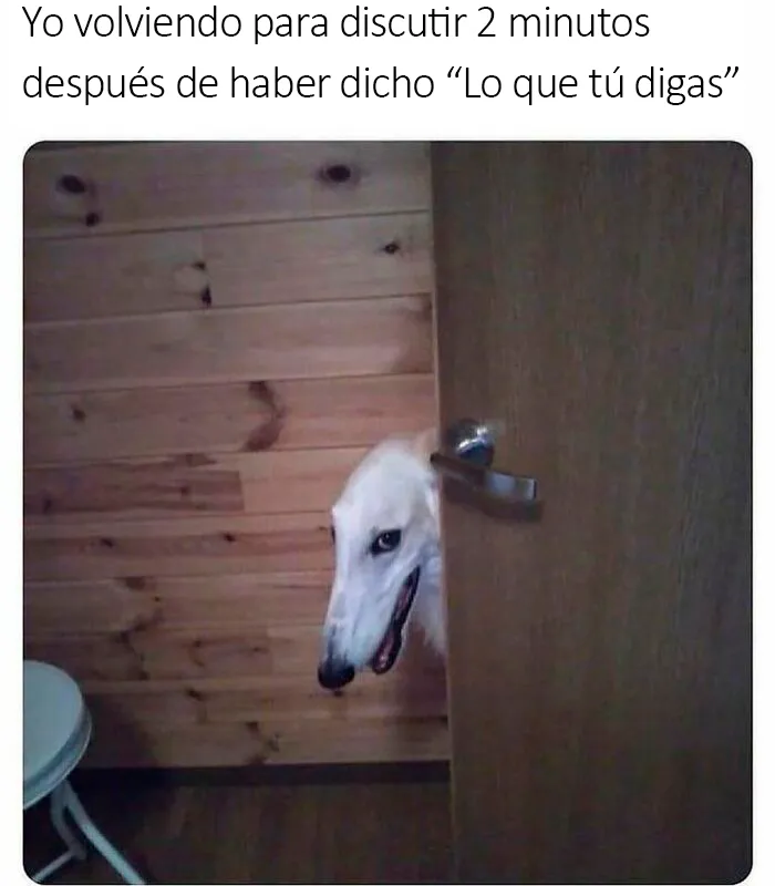 20 Memes bien condimentados para que sonrías hoy