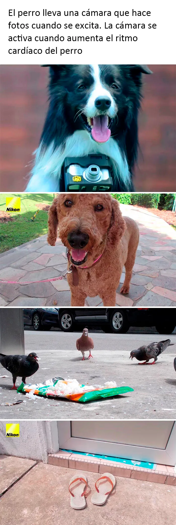 20 Reconfortantes fotos y memes para hacer de hoy un día mejor