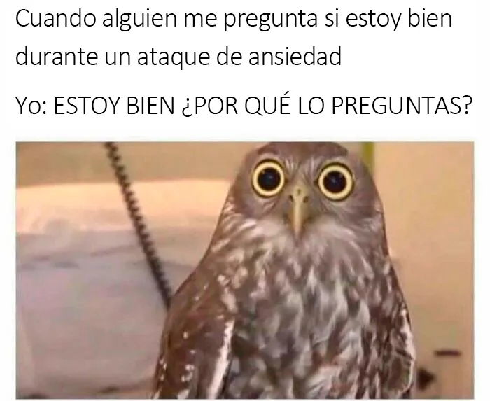 20 Memes bien condimentados para que sonrías hoy
