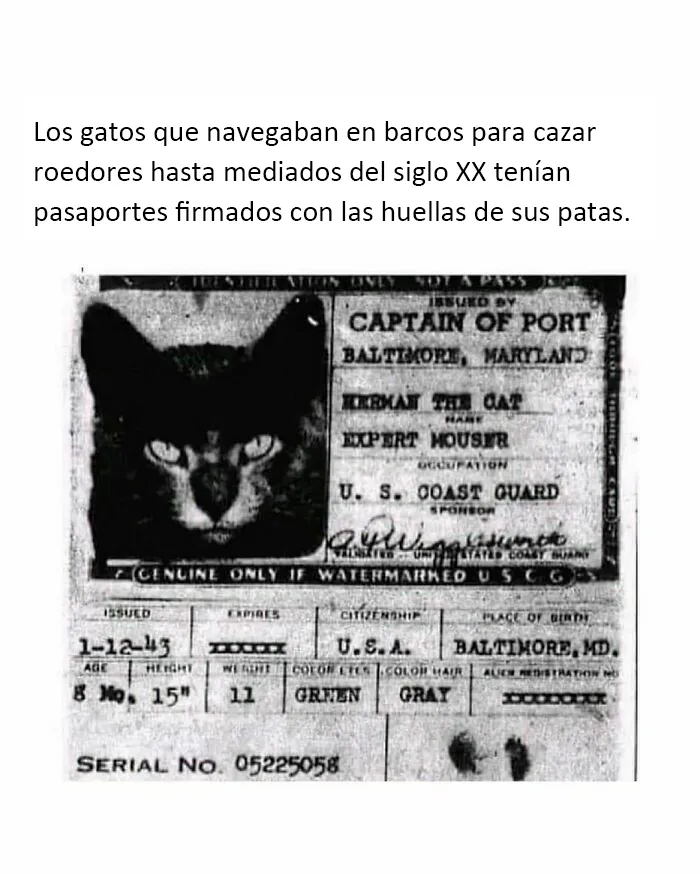20 Reconfortantes fotos y memes para hacer de hoy un día mejor