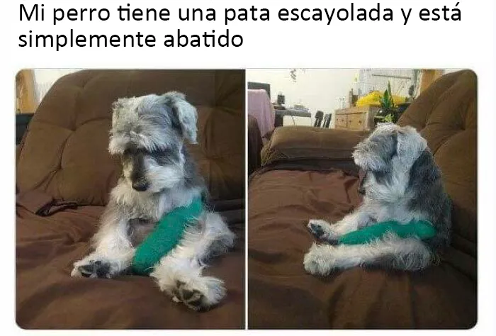 Un chico muy abatido. (No es mía, sólo una foto de Facebook)