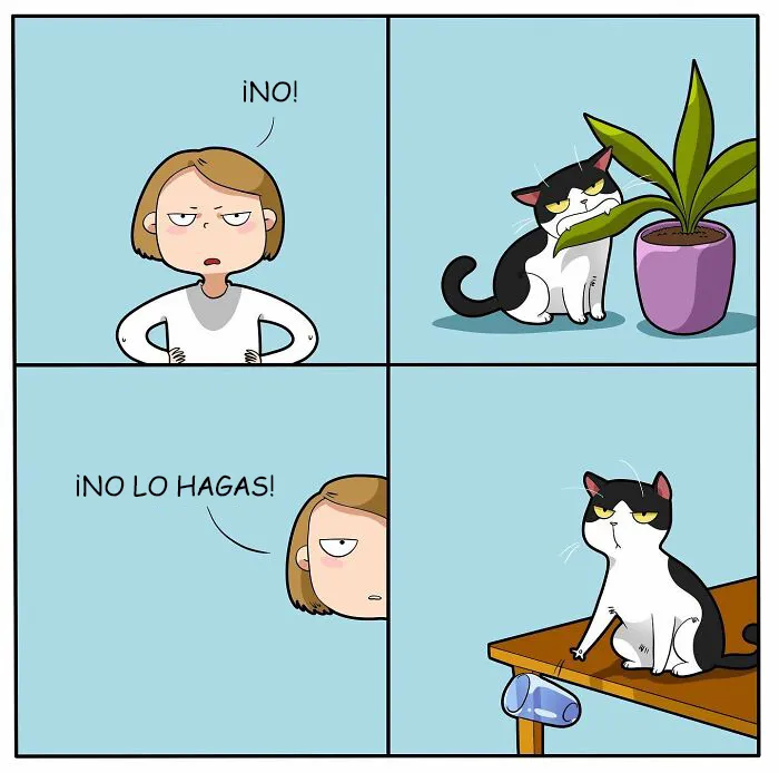 Esta artista ilustra cómo es vivir con un gato (25 nuevos cómics)
