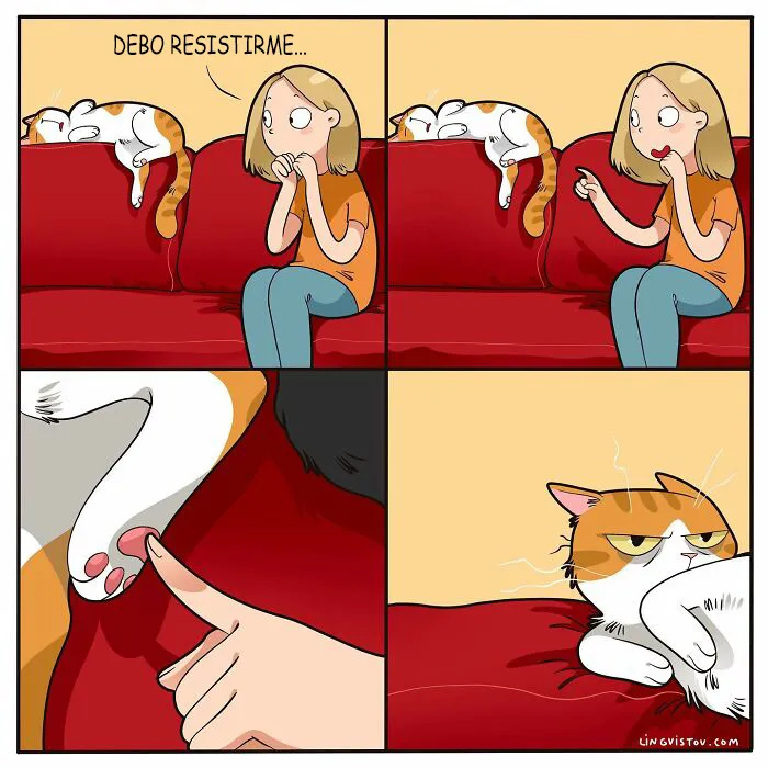 Esta artista ilustra cómo es vivir con un gato (25 nuevos cómics)