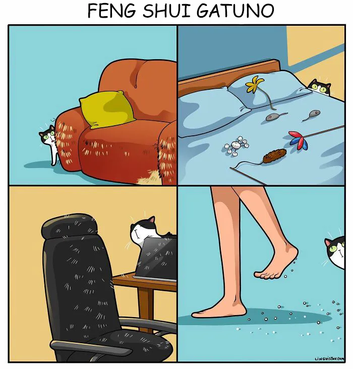 Esta artista ilustra cómo es vivir con un gato (25 nuevos cómics)