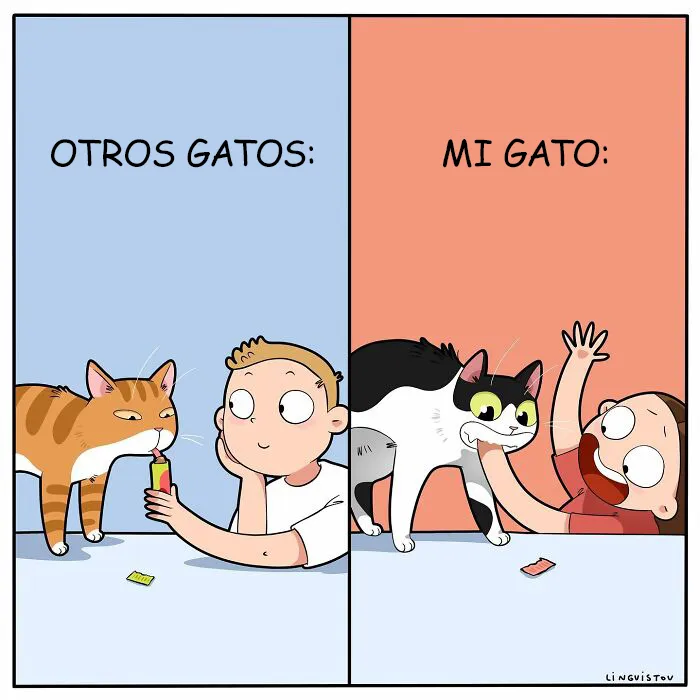 Esta artista ilustra cómo es vivir con un gato (25 nuevos cómics)