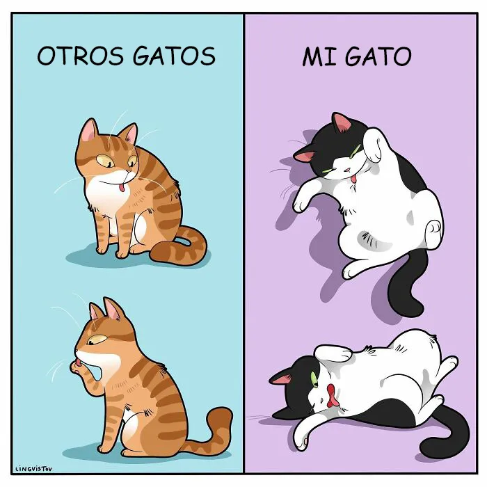 Esta artista ilustra cómo es vivir con un gato (25 nuevos cómics)