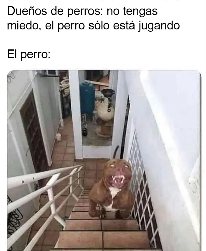 Por si llevas un mal día, aquí tienes 20 divertidísimos memes compartidos en "Meme Lord"