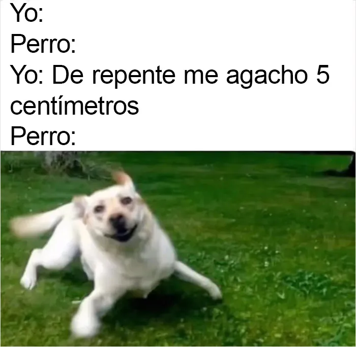 Por si llevas un mal día, aquí tienes 20 divertidísimos memes compartidos en "Meme Lord"