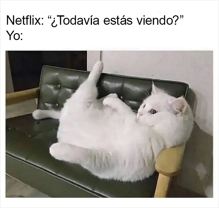 Por si llevas un mal día, aquí tienes 20 divertidísimos memes compartidos en "Meme Lord"