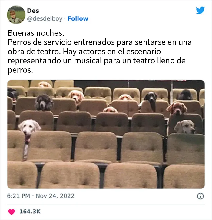 Por si llevas un mal día, aquí tienes 20 divertidísimos memes compartidos en "Meme Lord"