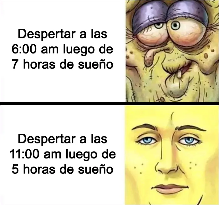 Por si llevas un mal día, aquí tienes 20 divertidísimos memes compartidos en "Meme Lord"