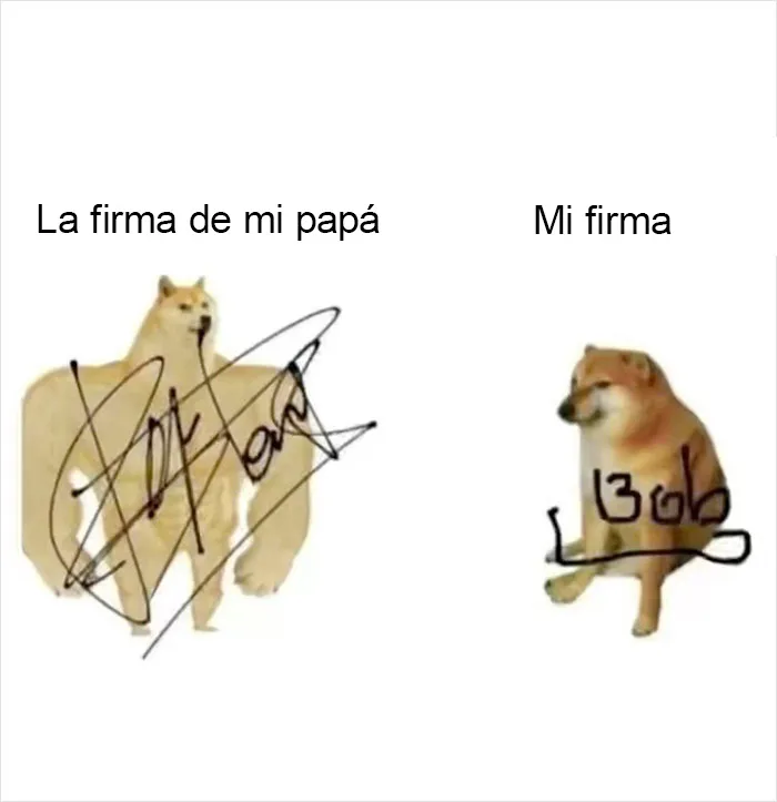Por si llevas un mal día, aquí tienes 20 divertidísimos memes compartidos en "Meme Lord"