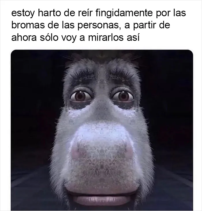 Por si llevas un mal día, aquí tienes 20 divertidísimos memes compartidos en "Meme Lord"