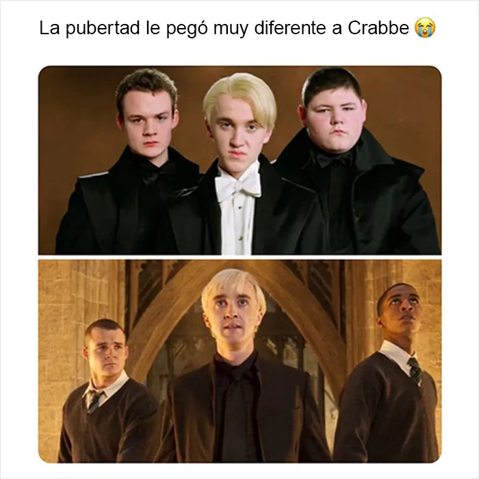 Por si llevas un mal día, aquí tienes 20 divertidísimos memes compartidos en "Meme Lord"