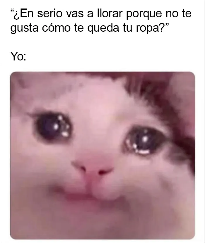 Por si llevas un mal día, aquí tienes 20 divertidísimos memes compartidos en "Meme Lord"