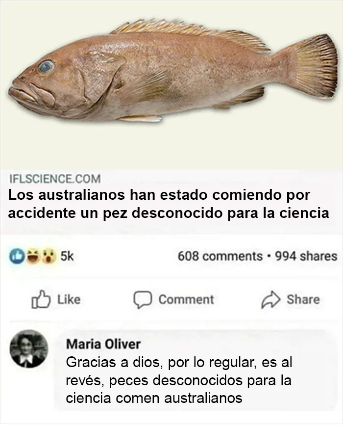 Australianos