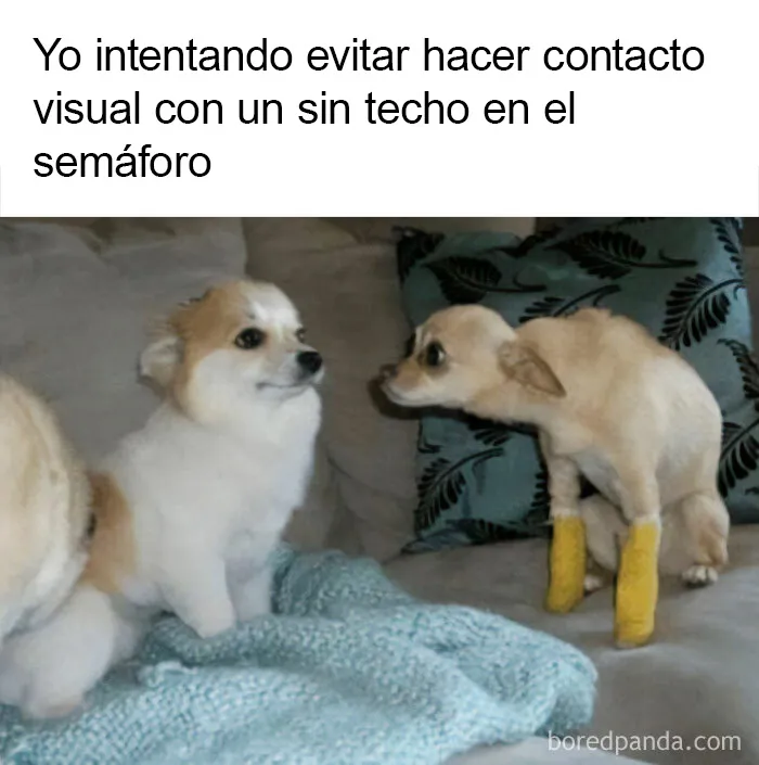20 Memes con los que casi todos nos identificamos