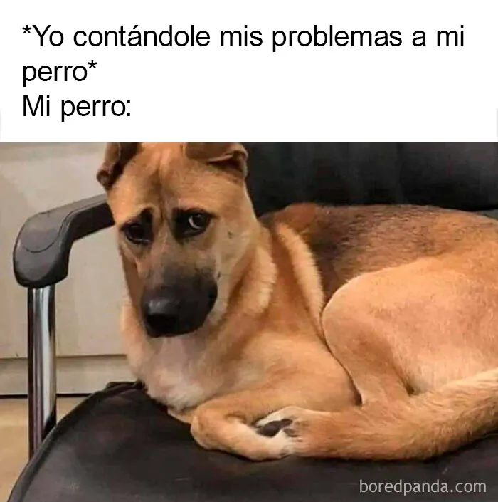 20 Memes con los que casi todos nos identificamos