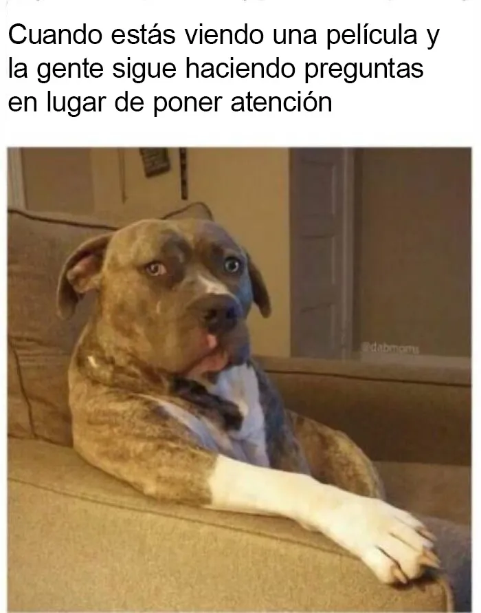 20 Memes con los que casi todos nos identificamos