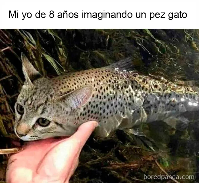 20 Memes con los que casi todos nos identificamos