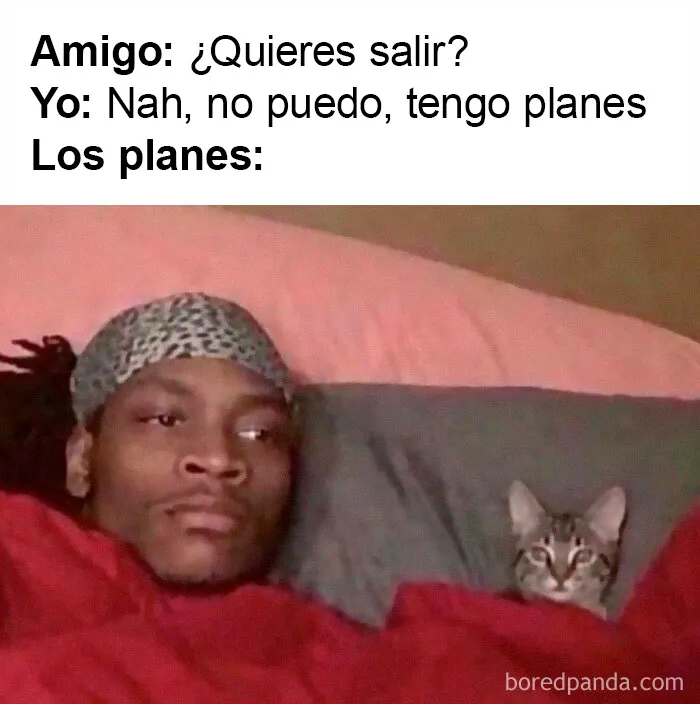20 Memes con los que casi todos nos identificamos