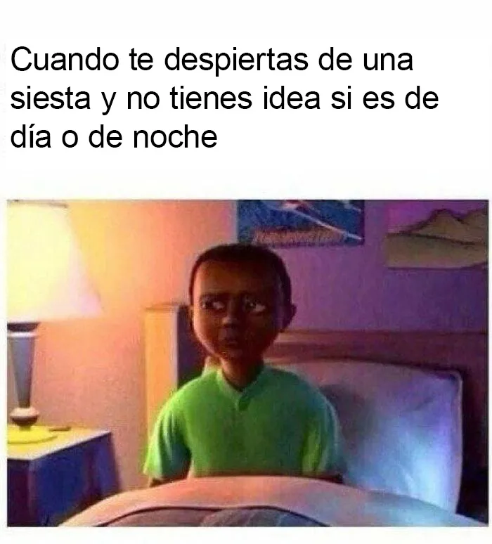 20 Memes con los que casi todos nos identificamos