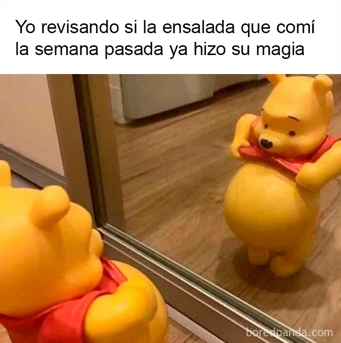 20 Memes con los que casi todos nos identificamos