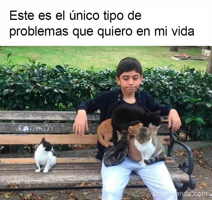 20 Memes con los que casi todos nos identificamos