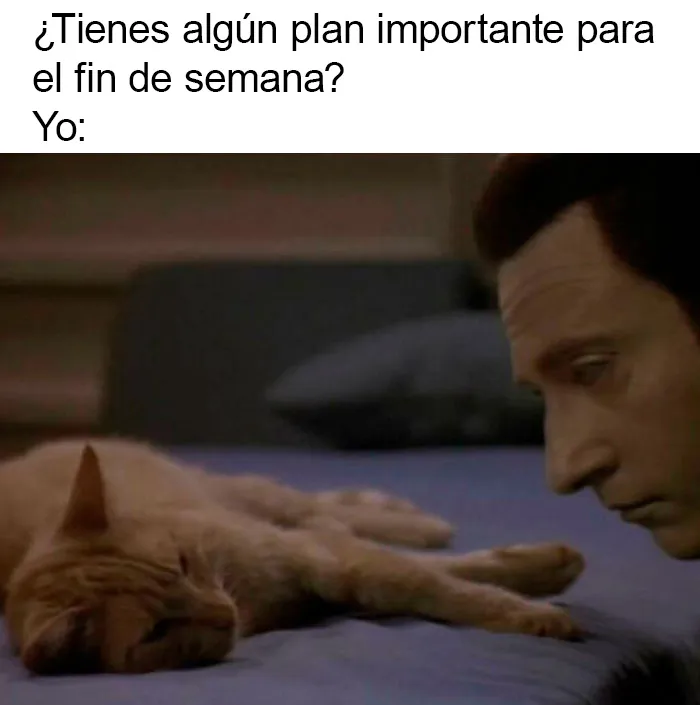 20 Ingeniosos memes sobre el fin de semana que te alegrarán el día