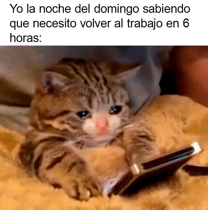 20 Ingeniosos memes sobre el fin de semana que te alegrarán el día