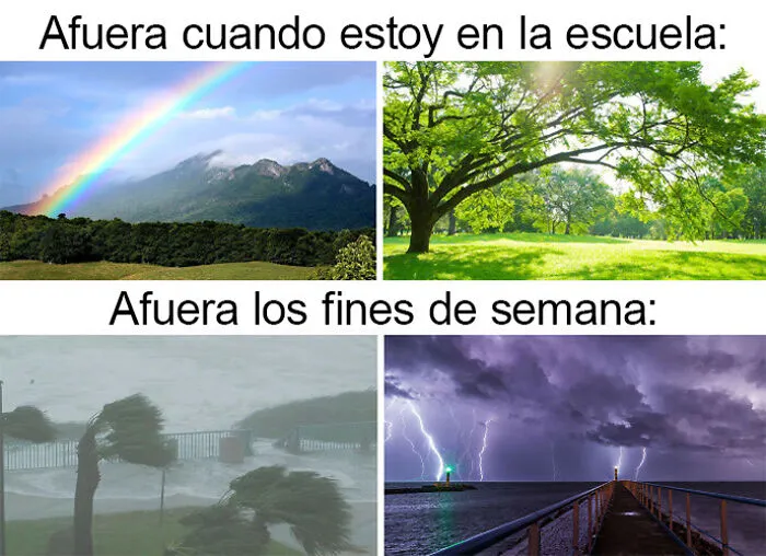 20 Ingeniosos memes sobre el fin de semana que te alegrarán el día
