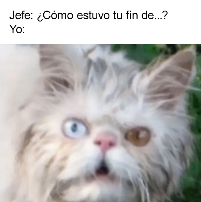 20 Ingeniosos memes sobre el fin de semana que te alegrarán el día