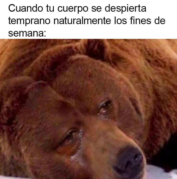 20 Ingeniosos memes sobre el fin de semana que te alegrarán el día