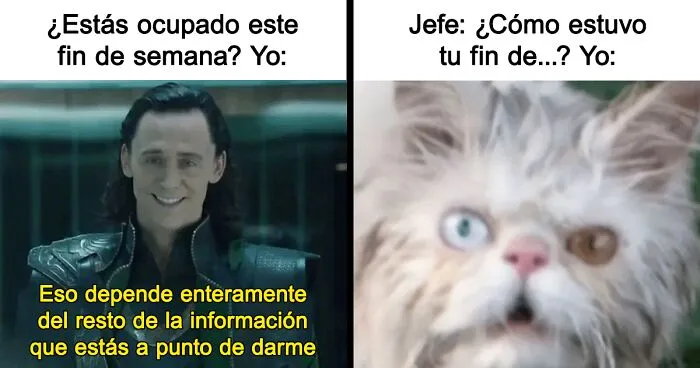 20 Ingeniosos memes sobre el fin de semana que te alegrarán el día