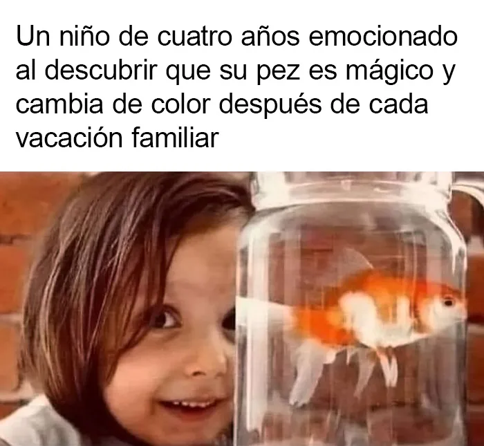 20 memes intelectuales divertidísimos que te recordarán cómo obtuviste tu título