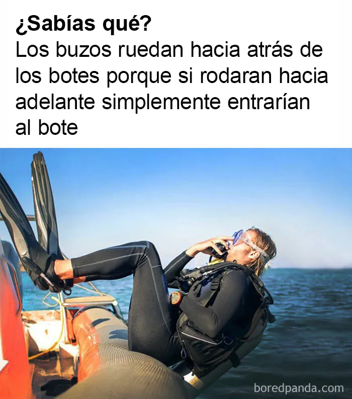 20 memes intelectuales divertidísimos que te recordarán cómo obtuviste tu título