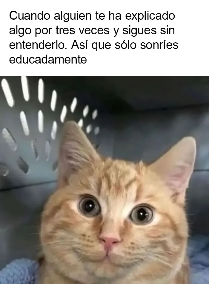 20 memes intelectuales divertidísimos que te recordarán cómo obtuviste tu título