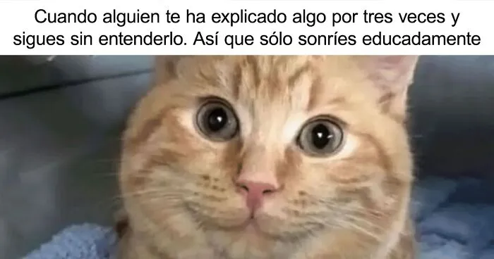 20 memes intelectuales divertidísimos que te recordarán cómo obtuviste tu título