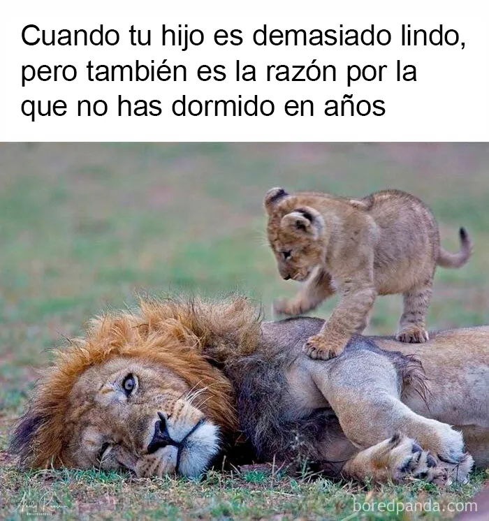 20 Publicaciones divertidas y reconfortantes acerca de la paternidad