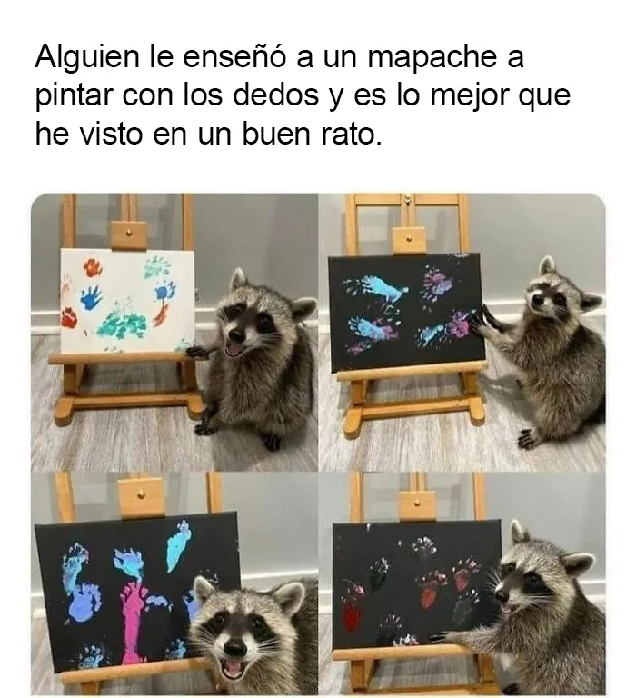 20 Memes reconfortantes para alegrarte el día y devolverte la fe en la humanidad