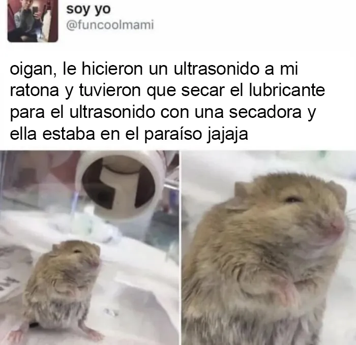 20 Memes reconfortantes para alegrarte el día y devolverte la fe en la humanidad